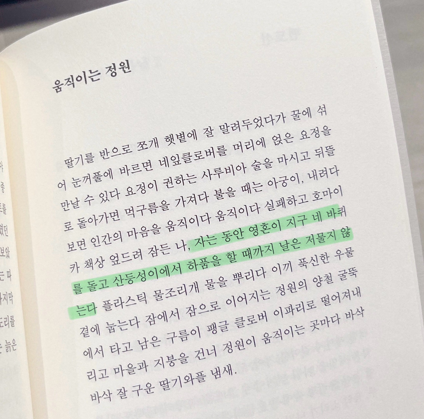후르츠 캔디 버스